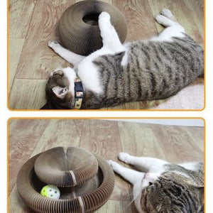Purrfect Playtime Corrugated Organ Cat Scratch Board Butler Toy!